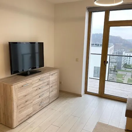 Central Apartment Apartment *